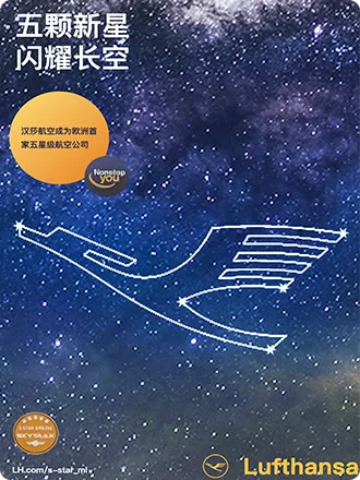 美国航空峡谷航线海报